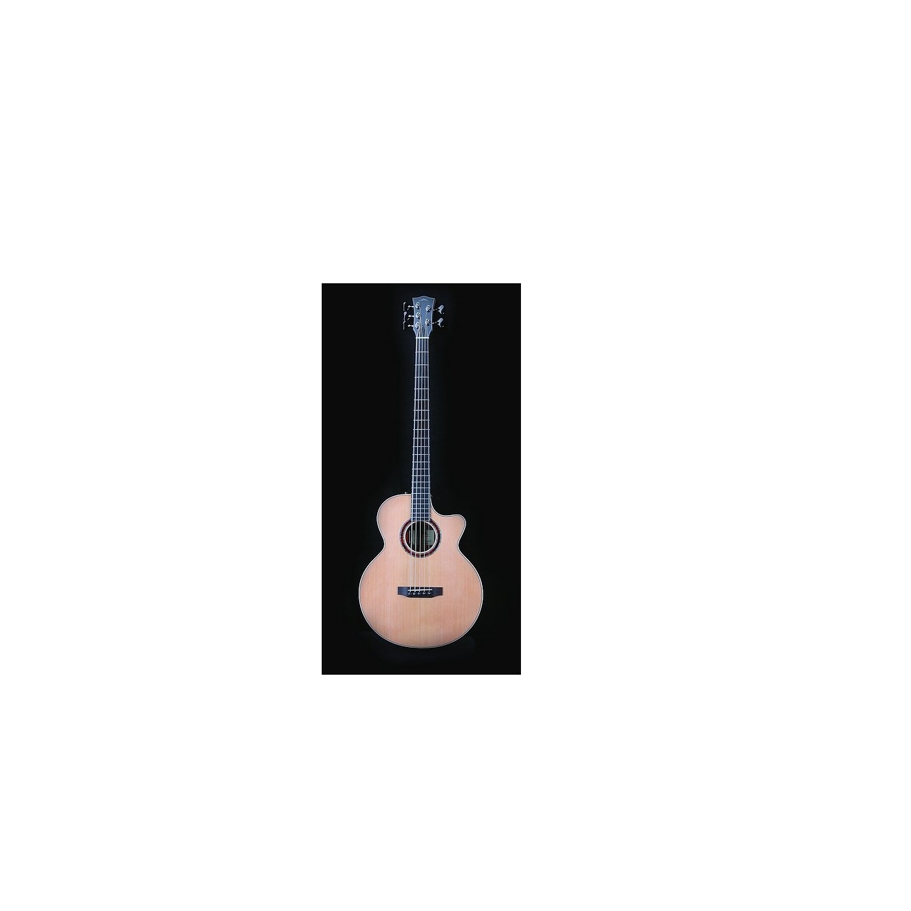 GJ 27 CF Bass - Akustik Bass mit PU