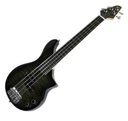 Bass TBP-3400BFM