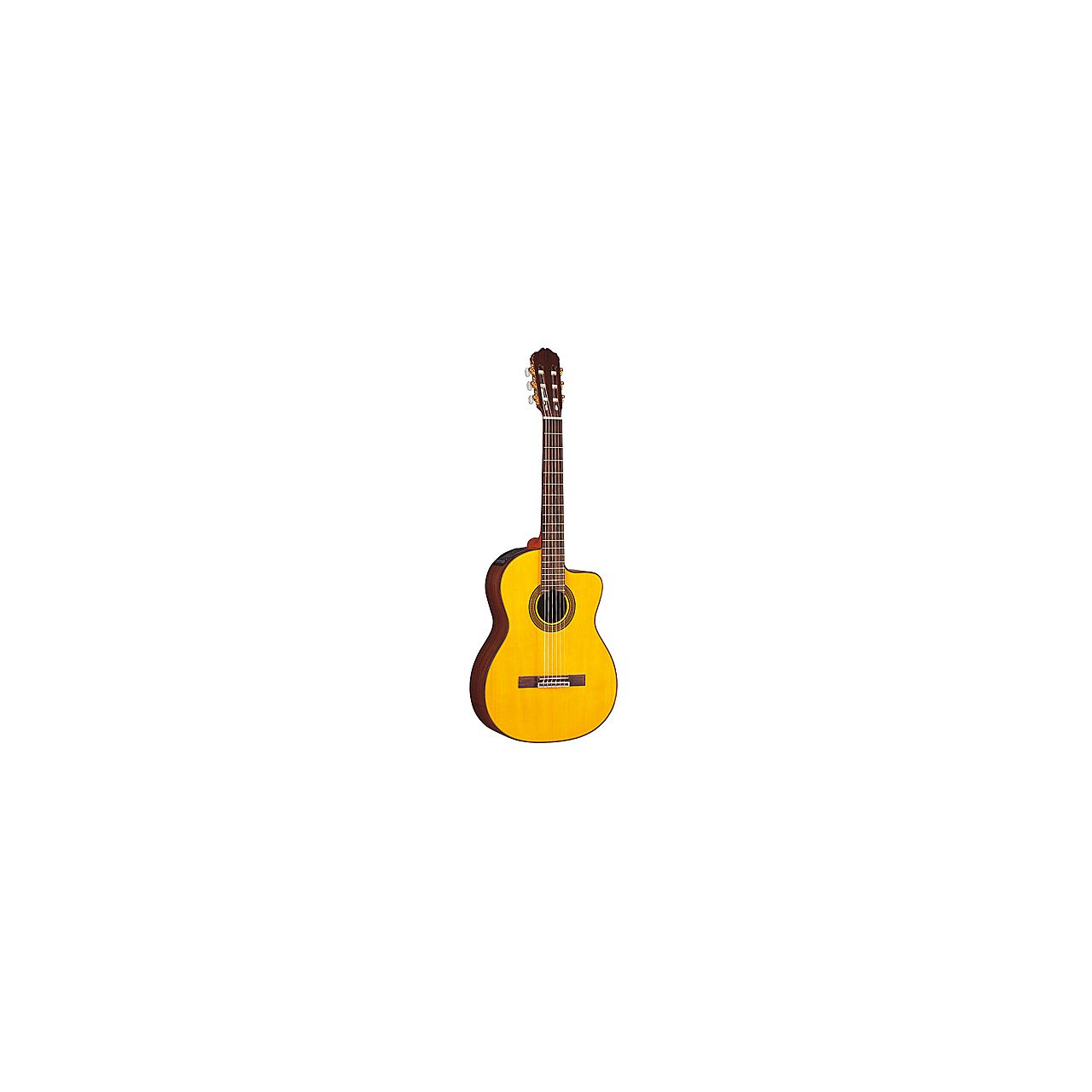 Takamine G-Serie FX Artist