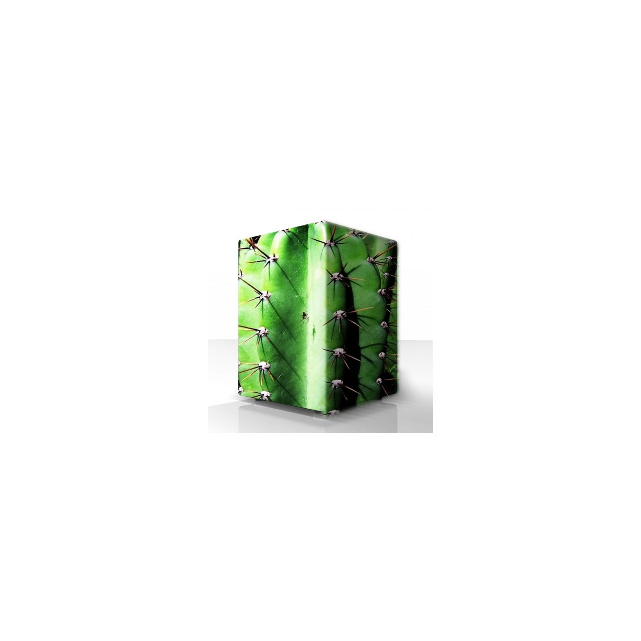 "Cactus Cube" Large Cool Cajon