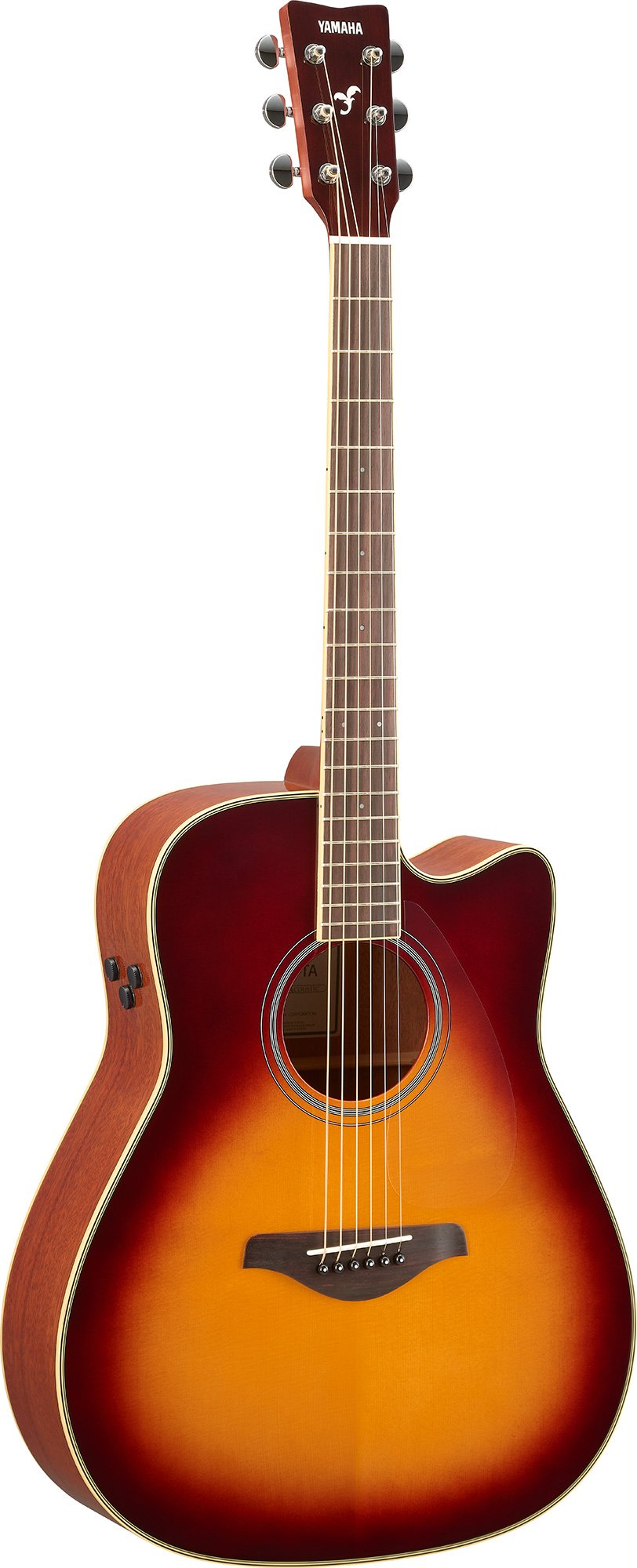 FGC-TA Brown Sunburst "Versandrückläufer"