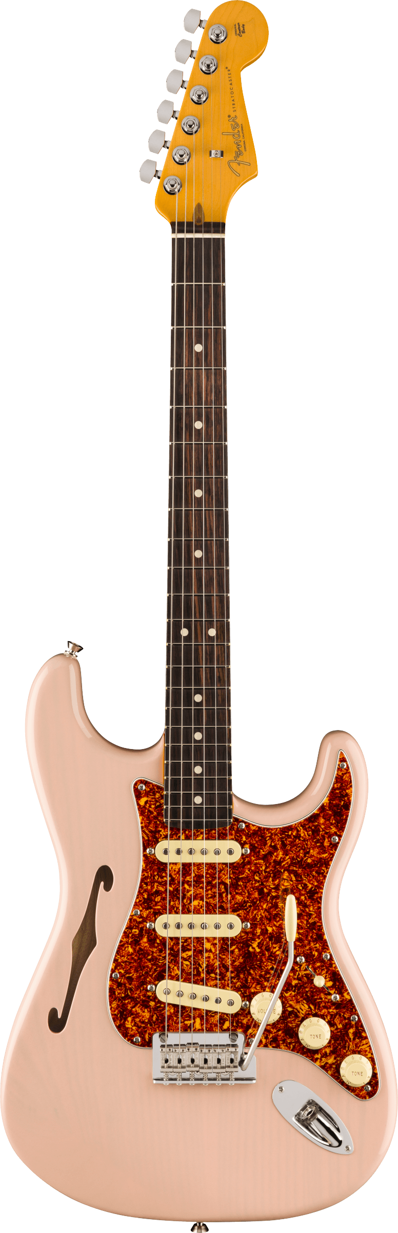 American Professional II Stratocaster® Thinline, Rosewood Fingerboard, Transparent Shell Pink