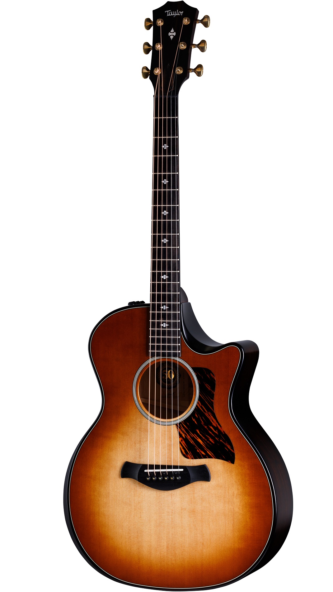 Builder's Edition 314ce LTD (Kona Burst)