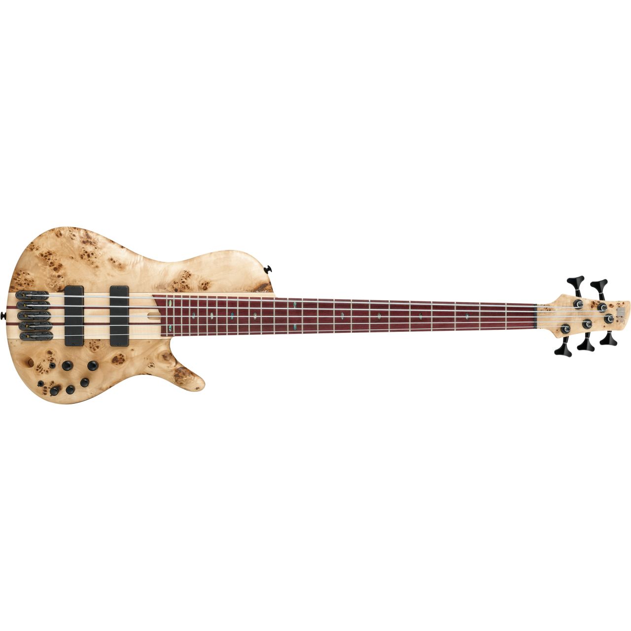 E-BASS SR CERRO 5-STR. IBANEZ