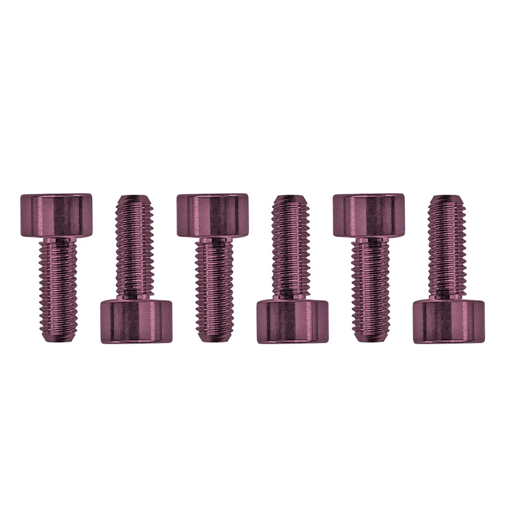 FROSMSPKP - Color Stainless Steel Saddle Mounting Screws (6 pcs), Pink