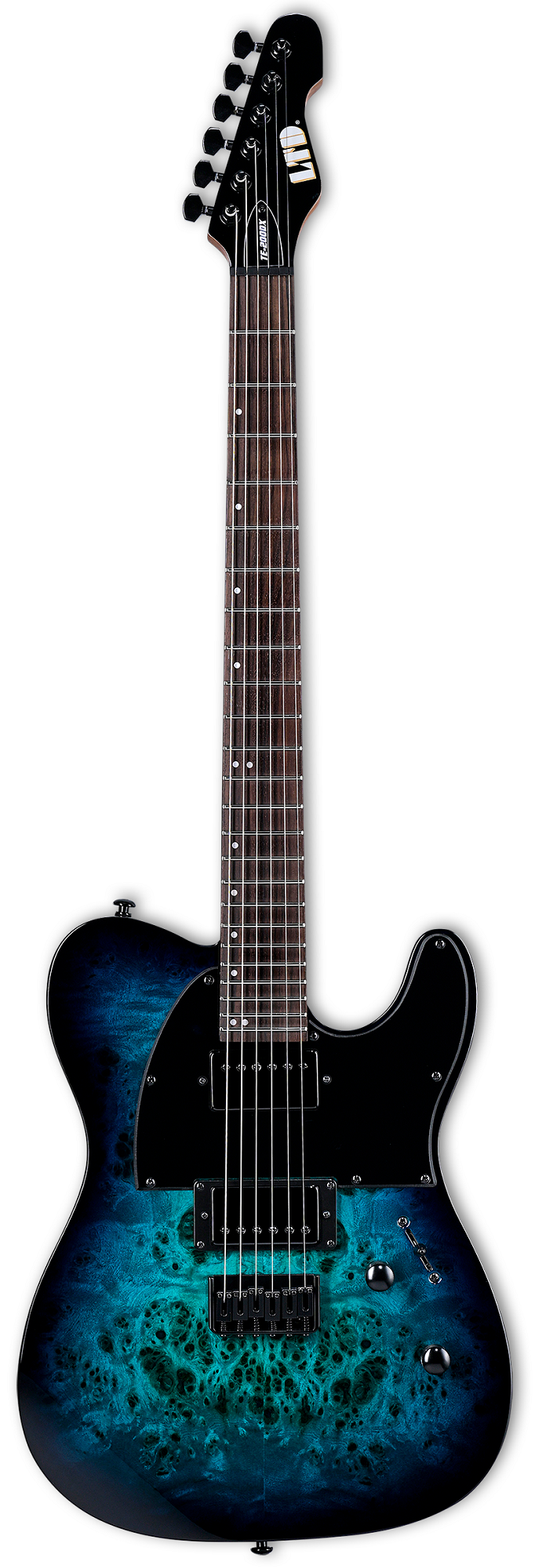 TE-200DX Blue Burst