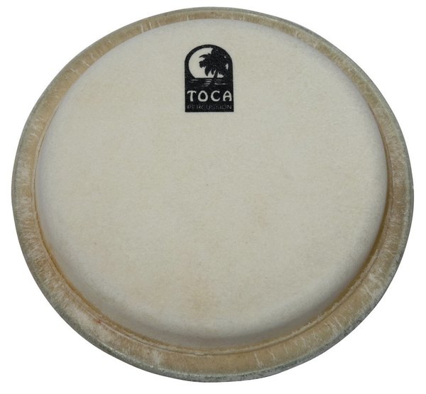 10" Conga TP-20110