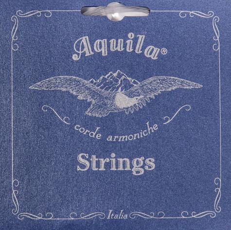 109C - Super Nylgut, 10-String Classical Guitar String Set, Yepes Tuning