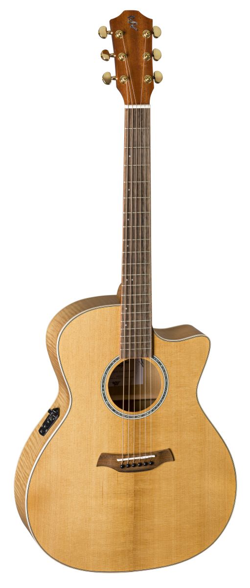 TLM/ACEC Flamed Maple rEco Series