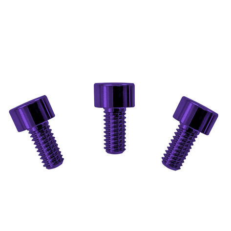 FRNCSPLP - Color Stainless Steel Nut Clamping Screws (3 pcs), Purple