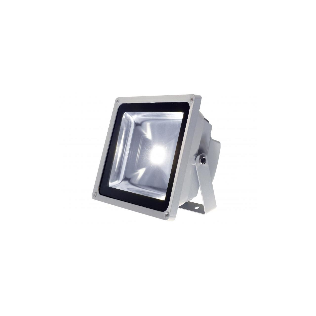 LED Power Flood WW 50W IP65 