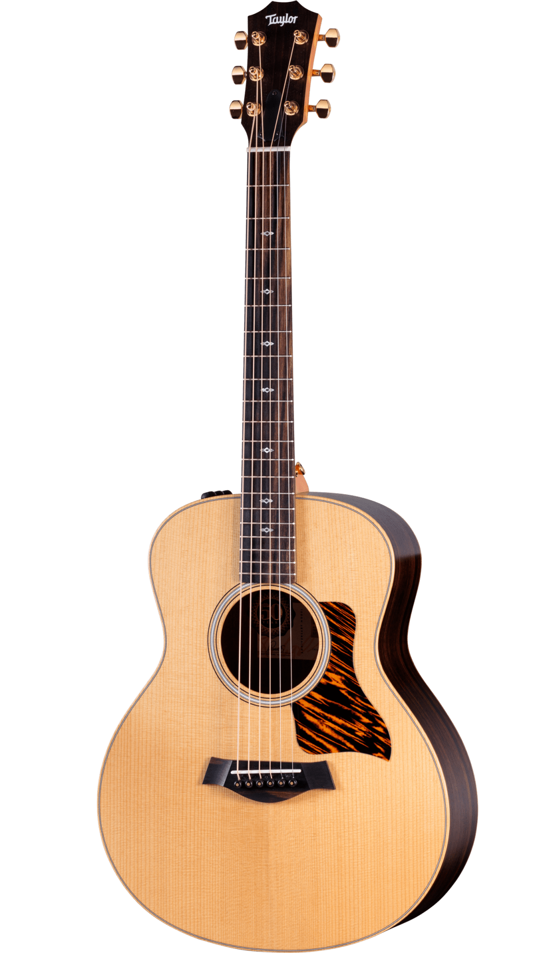 GS Mini-e Rosewood NT LTD, 50th Anniversary