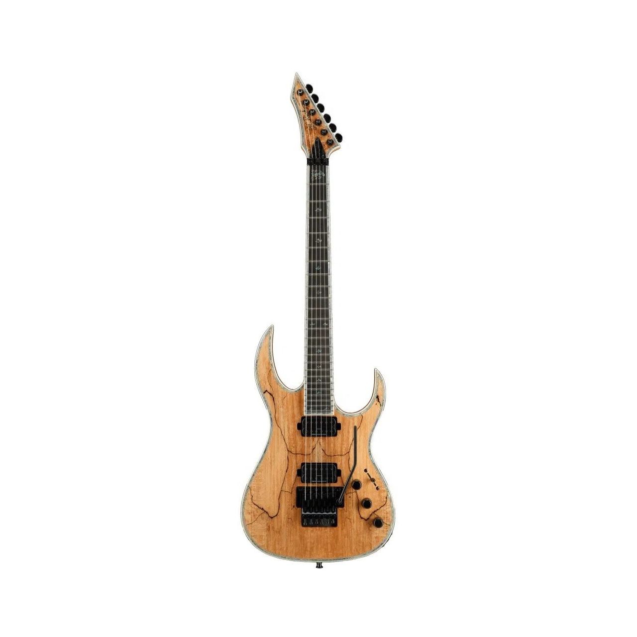 Shredzilla Prophecy Exotic Archtop with Floyd Rose - Spalted Maple Top, Natural Transparent