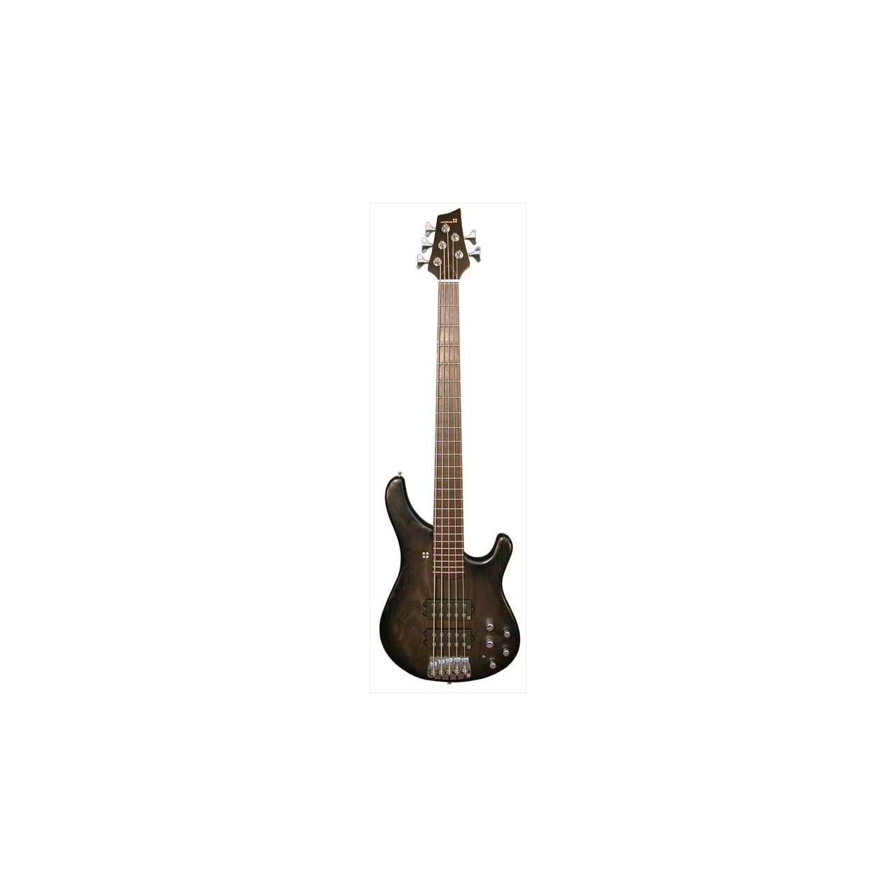 Basic Ken Taylor 5-Saiter E-Bass in Blackburst