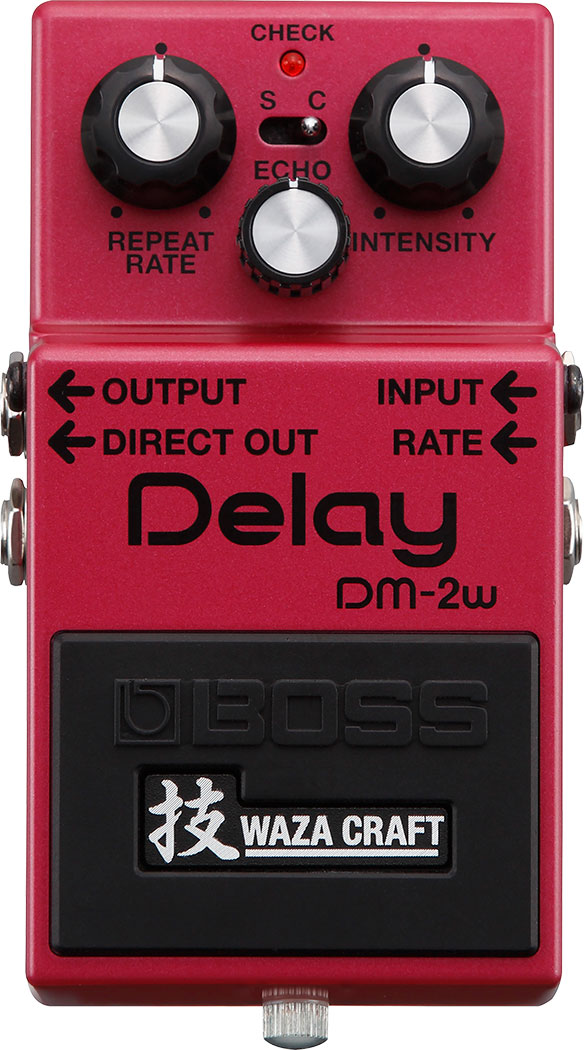 DM-2W Delay