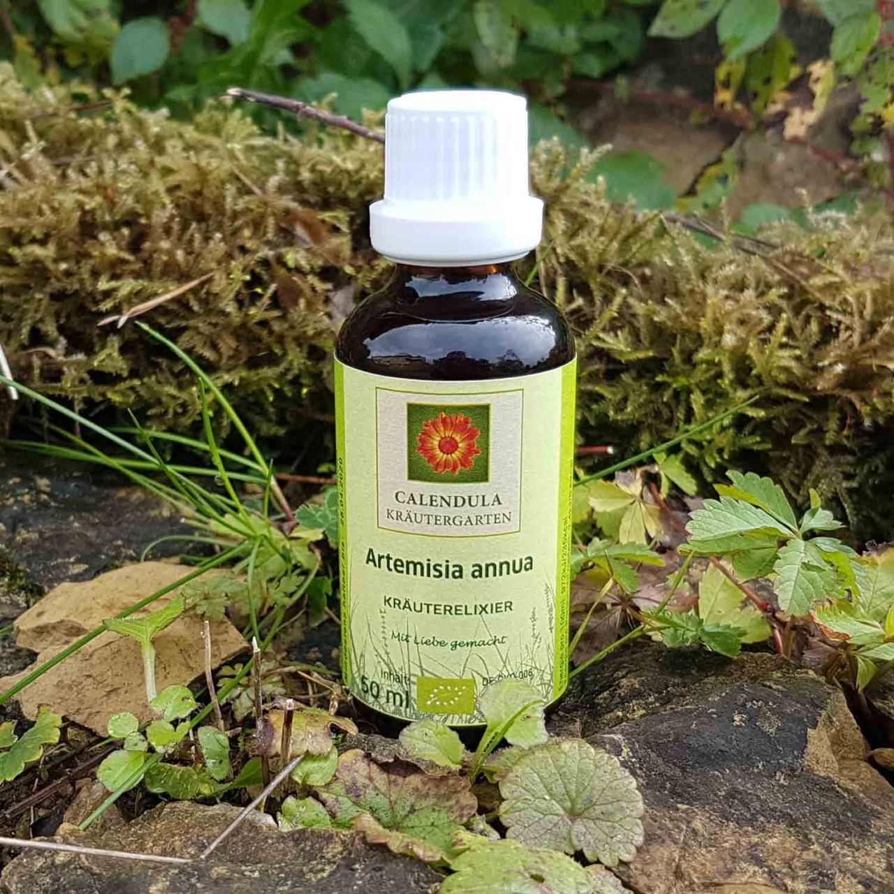 Einjähriger Beifuß Bio-Kräuterelixier Artemisia annua 50ml